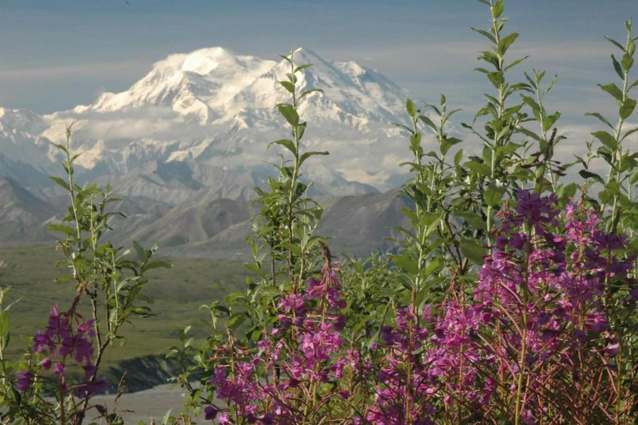 Denali Park 2 Bedroom Mom In Law Healy Zewnętrze zdjęcie